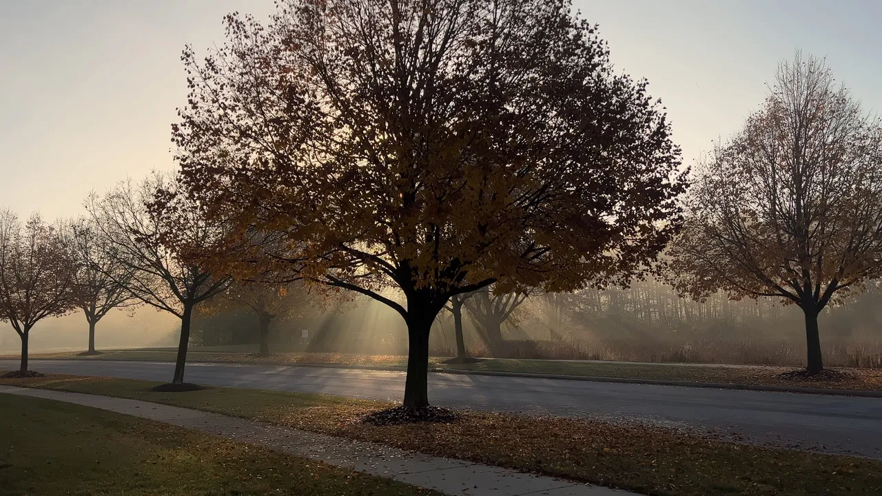 The Complete Homebuyers Guide to the CHFA Program