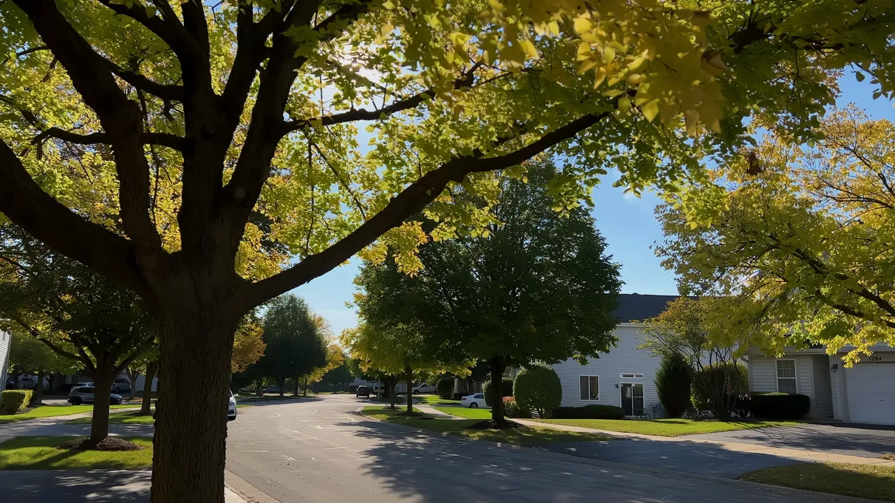 Tree-lined suburban neighborhood